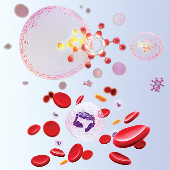 Bioanalysis across modalities: Advancing confident decisions with modern LC‑MS strategies